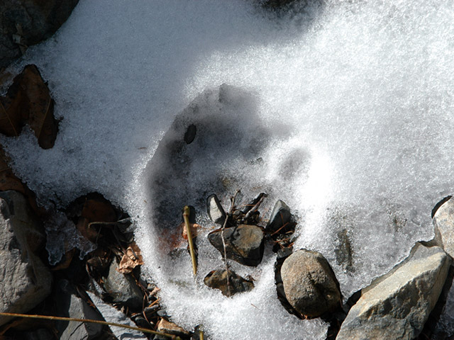 �����X�ѓS��������,�p����,�ѓS,�ؑ]�쌹��,���T�r��,�c�L�m���O�}�̑���