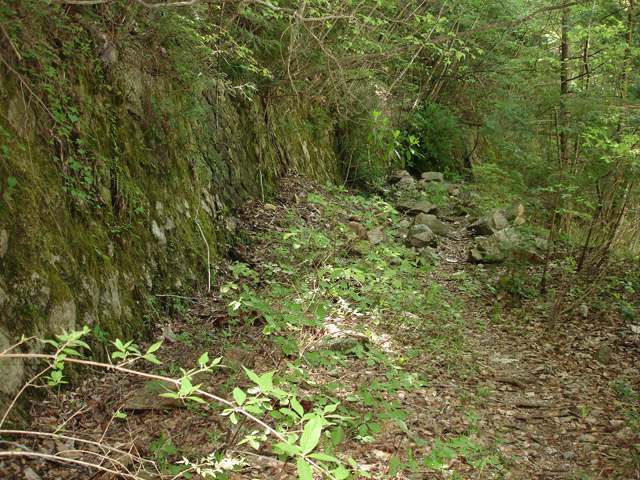 �ؑ]�X�ѓS��������,�ѓS,�p����,�����k�J,�g���b�R�O����,�K����