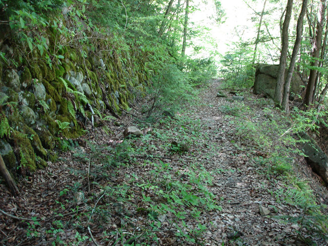 �ؑ]�X�ѓS��������,�ѓS,�p����,�����k�J,�Ί_,��K��,�؍މ^���O����