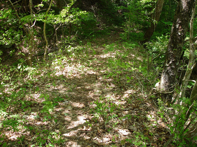 ��K�X�ѓS��������,�ѓS,�p����,�H��,����,�؍މ^���O����