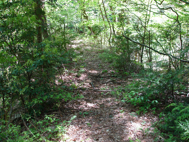 ��K�X�ѓS��������,�ѓS,�p����,�؍މ^���O����,��K��,�����k�J