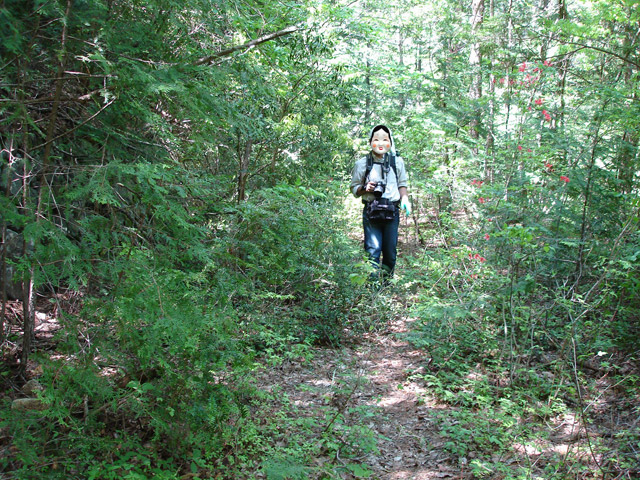 ��K�X�ѓS��������,�ѓS,�p����,�i���[�O����,��K��,�����k�J