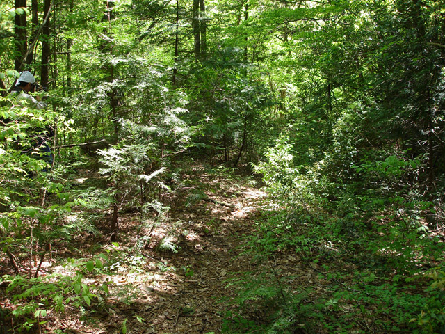 ��K�X�ѓS��������,�ѓS,�p����,�i���[�O����,��K�c�я�,�����k�J