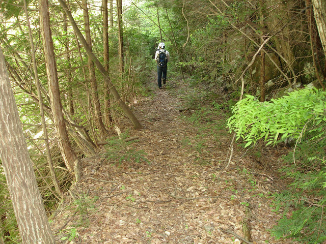 ��K�X�ѓS��������,�ѓS,�p����,�؍މ^���O����,��K��,�����k�J