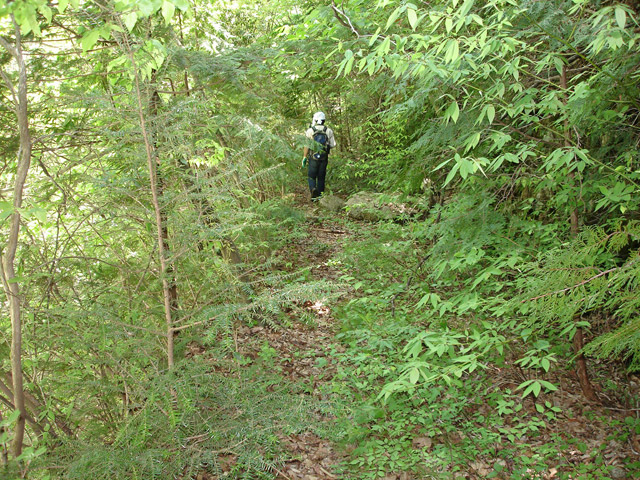 ��K�X�ѓS��������,�ѓS,�p����,�؍މ^���O����,��K�c�я�,�����k�J