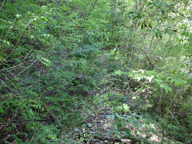 ��K�X�ѓS��������,�ѓS,�p����,�؍މ^���O����,�W�����O��,�����k�J