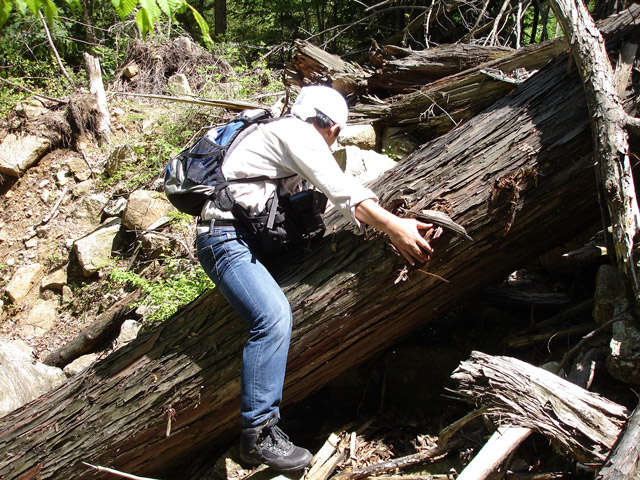 ��K�X�ѓS��������,�ѓS,�p����,�؍މ^���O����,�|��,�����k�J