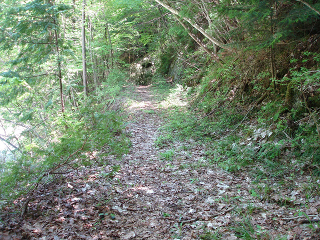 ��K�X�ѓS��������,�ѓS,�p����,��񍆋���,�����k�J,��K��