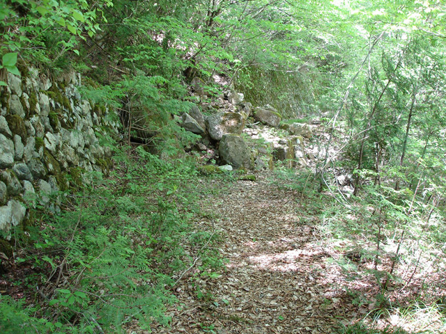 ��K�X�ѓS��������,�ѓS,�p����,�Ί_,�؍މ^���O����,��K��