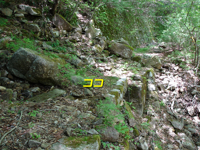 ��K�X�ѓS��������,�ѓS,�p����,��O������,�؍މ^���O����,�����k�J