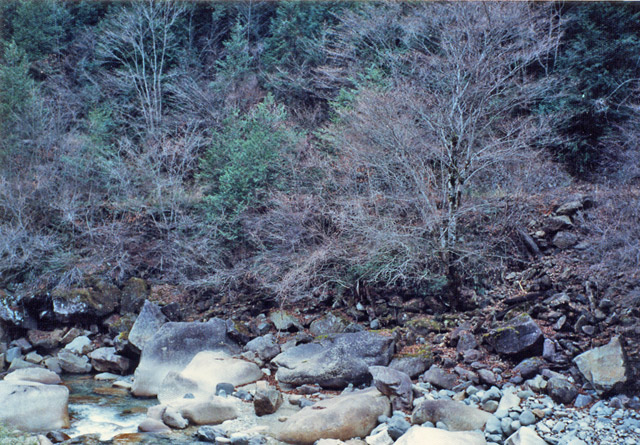 �ؑ]�X�ѓS��������,�ѓS,�p����,�ѓ�,��O������,������