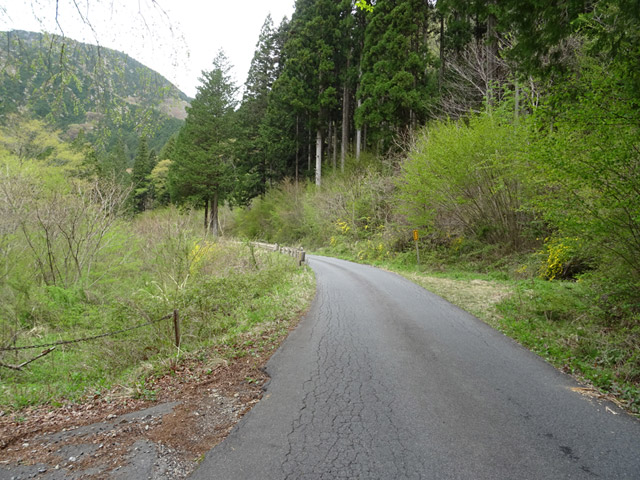 �����ѓS,�X�ѓS��,�p����,�����k�J,����,�؍މ^���O����,�H��