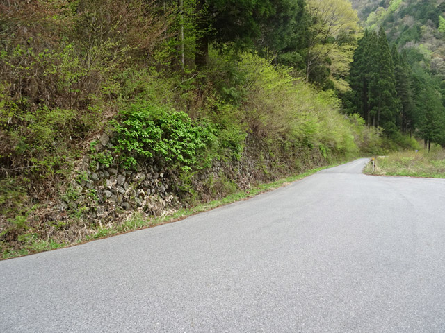 �����ѓS,�X�ѓS��,�p����,�����k�J,�Ί_,�i���[�O����,��K�c�я�