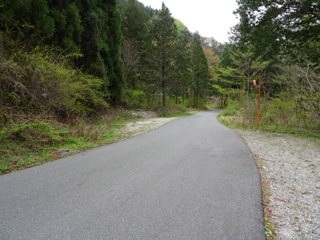 �ؑ]�X�ѓS��������,�ѓS,�p����,�����k�J,�y�֋O����,�I�X�̐X