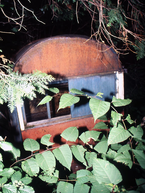 �����X�ѓS��,�ѓS,�p����,�����k�J�L�����v��,�k���ԏ�,���u�ԗ�,���q��