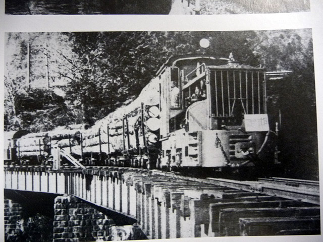 �����X�ѓS��,�ѓS,��������,�^�ޗ��,�ԗ�,�q��