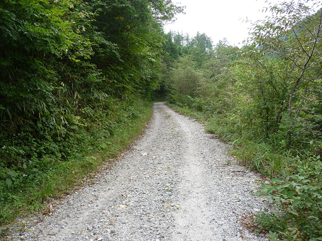 ��K�X�ѓS��������,�ѓS,�p����,�����^�c�K�q�Q�ѓ�,�i���[�O����,��K��