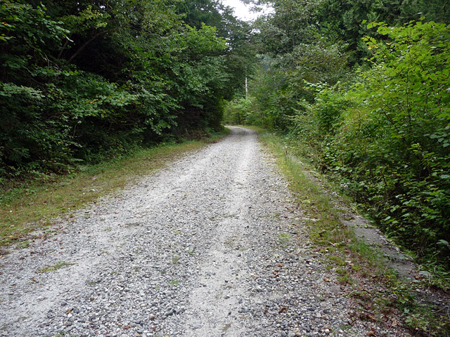 �����ѓS,�X�ѓS��,�p����,�����^�c�K�q�Q�ѓ�,�c�я��O����,�ԓ���