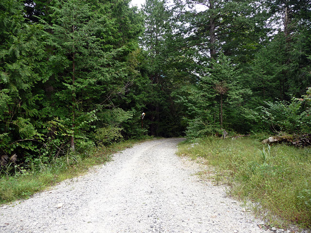 �����ѓS,�X�ѓS��,�p����,�����^�c�K�q�Q�ѓ�,�c�я��O����,����