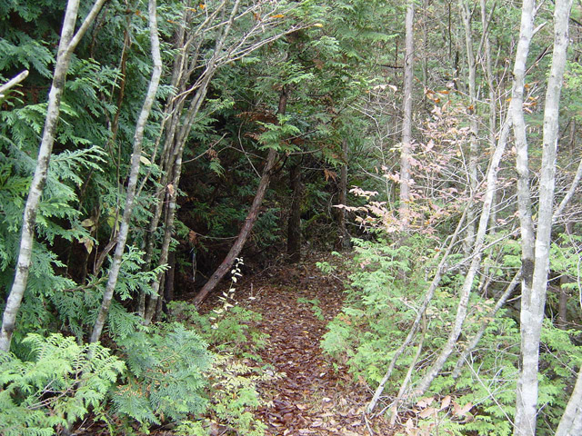 �����X�ѓS��,�ѓS,�p����,�����k�J,��K�c�я�,�؍މ^���O����,�o�H