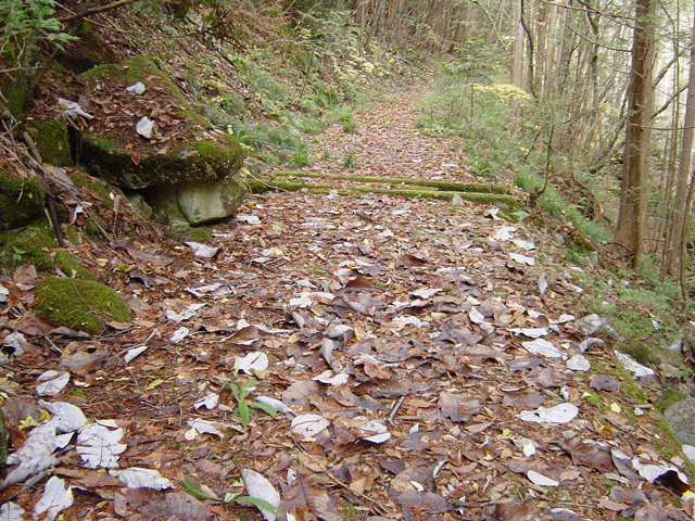 �����X�ѓS��,�ѓS,�p����,�����k�J,����,�؍މ^���O����