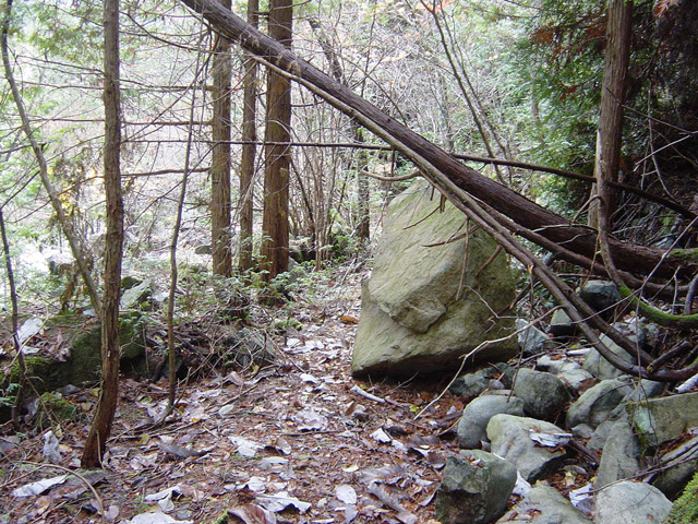 �����X�ѓS��,�ѓS,�p����,�����k�J,�H��,�؍މ^���O����