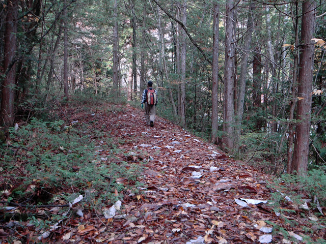 ��K�X�ѓS��������,�ѓS,�p����,�����k�J,�i���[�O����,�ѓ�