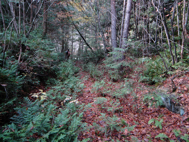 ��K�X�ѓS��������,�ѓS,�p����,�����k�J,�i���[�O����,�k����