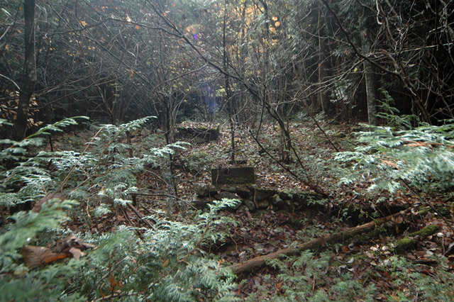 ��K�X�ѓS��������,�ѓS,�p����,�����k�J,�i���[�O����,������