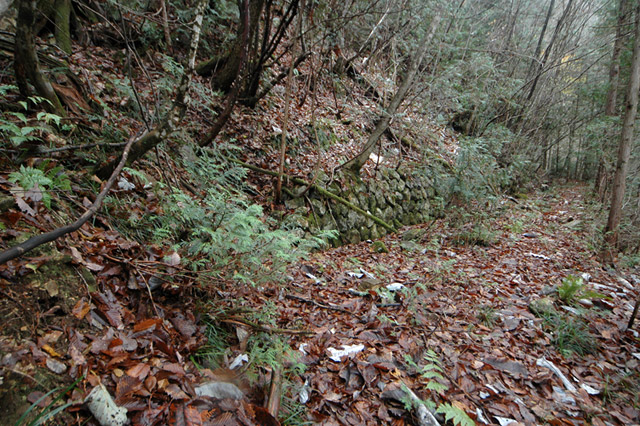 �����X�ѓS��,�ѓS,�p����,�����k�J,�Ί_,�H��