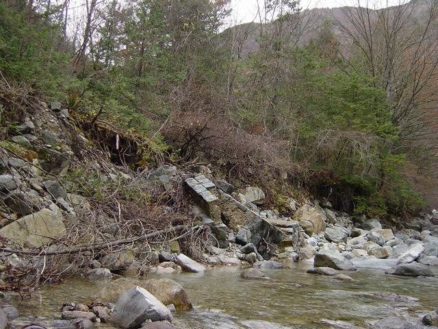 �����ѓS,�X�ѓS��,�p����,�����k�J,�i���[�O����,����