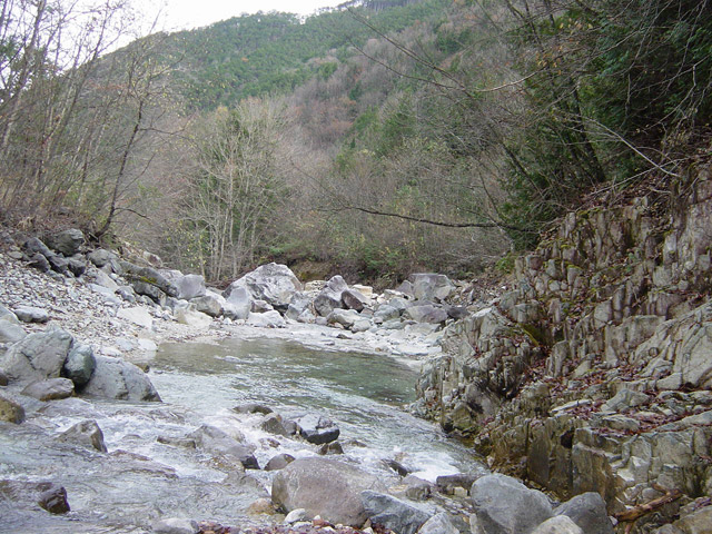 �����ѓS,�X�ѓS��,�p����,�����k�J,�؍މ^���O����,�H�՗���