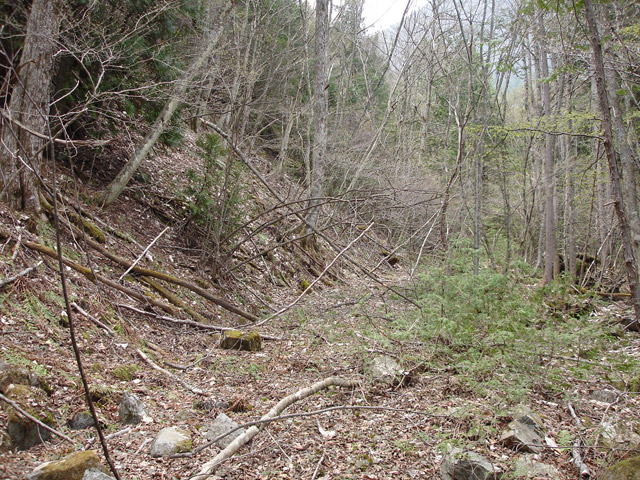 �����ѓS,�X�ѓS��,�p����,�����k�J,�їp�O����,����