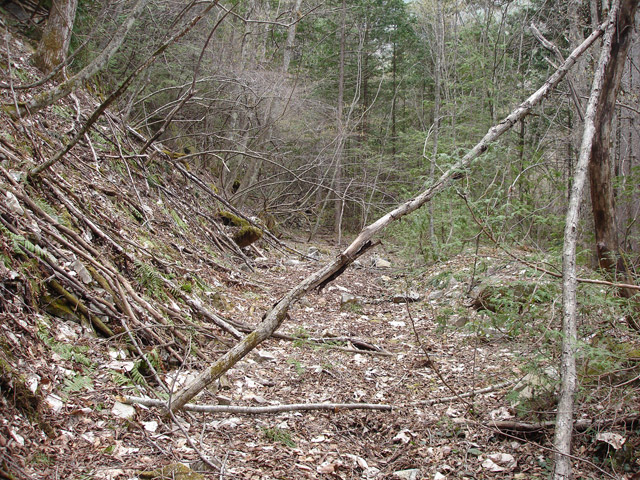 �����X�ѓS��,�ѓS,�p����,����ԏ�,�؍މ^���O����,��K�c�я�