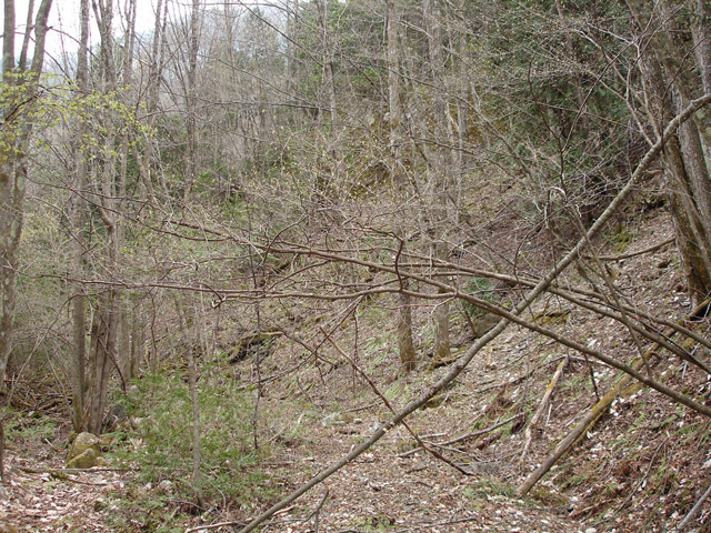 �����X�ѓS��,�ѓS,�p����,����ԏ�,�؍މ^���O����,��K�c�я�