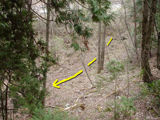 �����X�ѓS��,�ѓS,�p����,����ԏ�,�؍މ^���O����,������