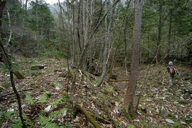 �����ѓS,�X�ѓS��,�p����,����ԏ�,�їp�O����,���Ə�