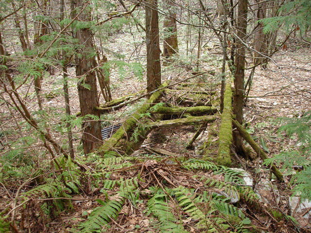 �����ѓS,�X�ѓS��,�p����,����ԏ�,���L��,���Ə�