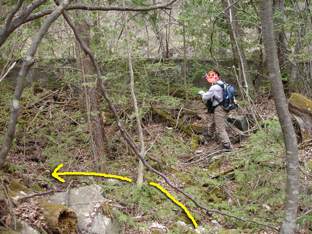 ���w�A�s���i���[�t�m���j