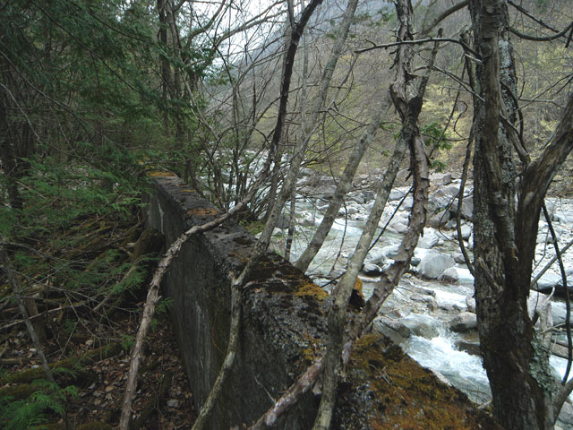 ���w�A�s���i���[�t�m���j