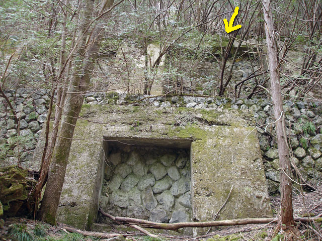 ���w�A�s���i���[�t�m���j