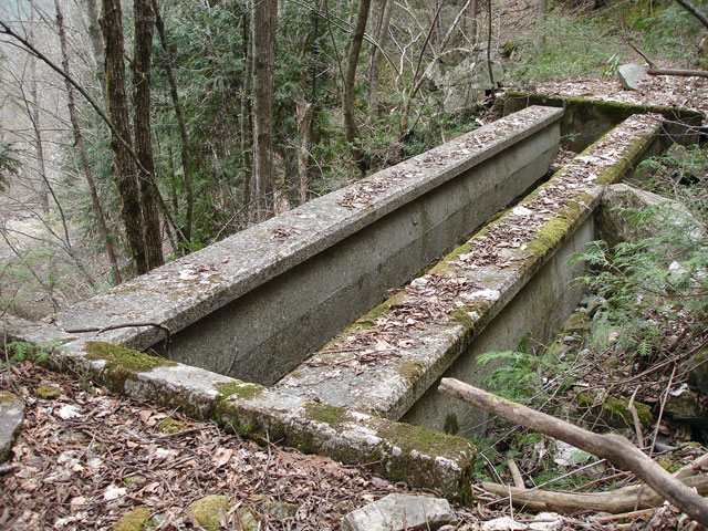 ���w�A�s���i���[�t�m���j