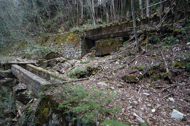 ���w�A�s���i���[�t�m���j