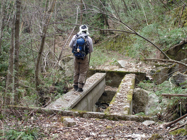 ���w�A�s���i���[�t�m���j