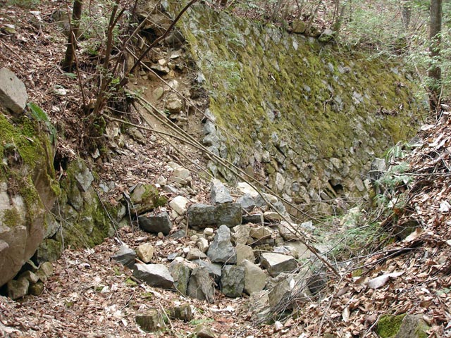 ���w�A�s���i���[�t�m���j