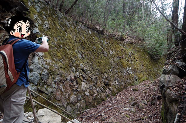 ���w�A�s���i���[�t�m���j