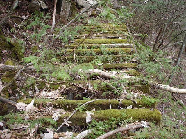 ���w�A�s���i���[�t�m���j