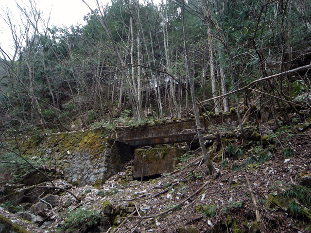 ���w�A�s���i���[�t�m���j