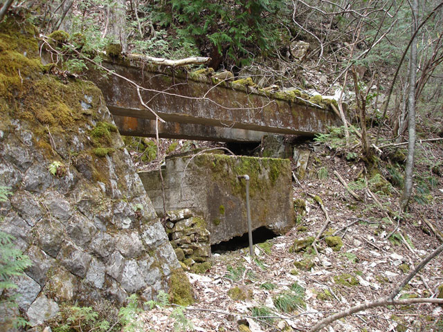 ���w�A�s���i���[�t�m���j