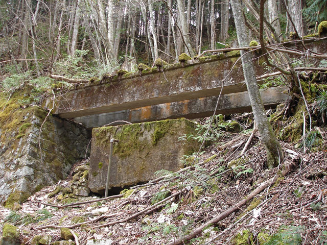 ���w�A�s���i���[�t�m���j